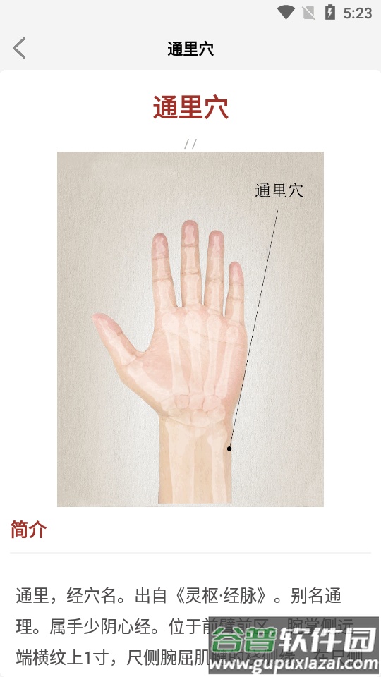 中医经络穴位软件截图1