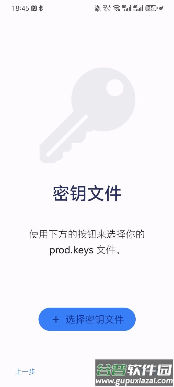 最强switch模拟器(Nyushu Emulator)截图3