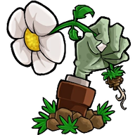 植物大战僵尸转基因版v1.0.0 最新版