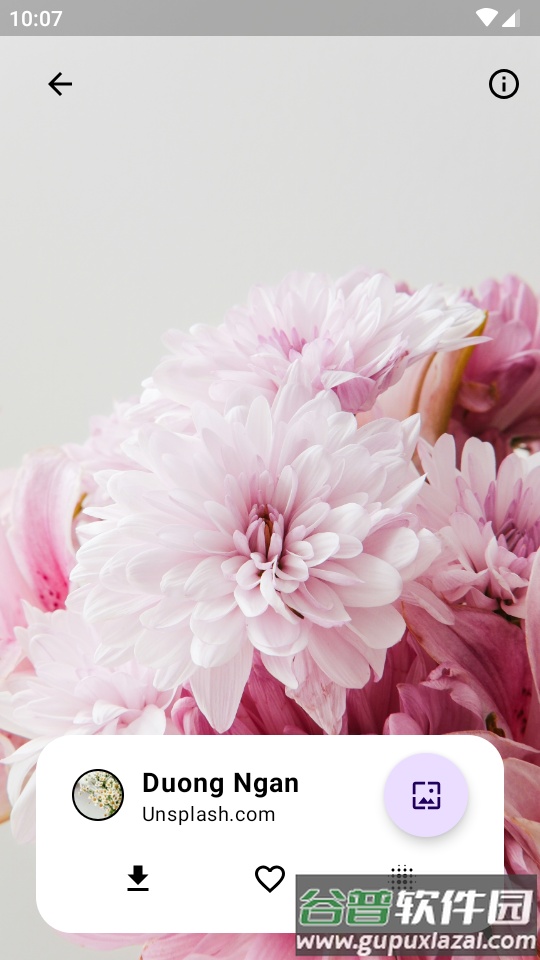 Walpy壁纸汉化版pro会员版截图3