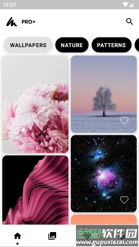 Walpy壁纸汉化版pro会员版截图4