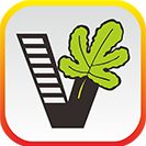 我要自学网官方手机版v1.11.4 安卓客户端