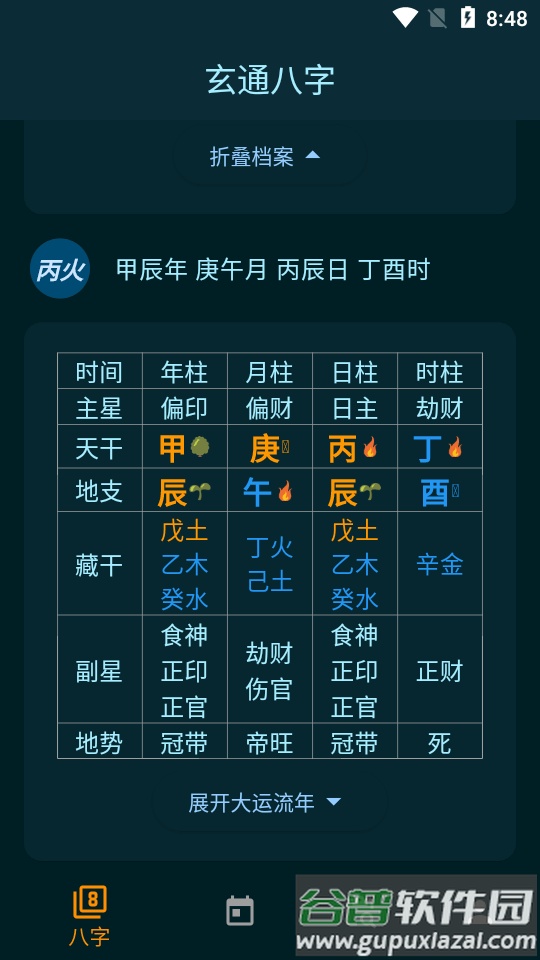 玄通八字软件截图3
