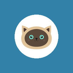 简便电视浏览器(Vita Browser)v1.5.0