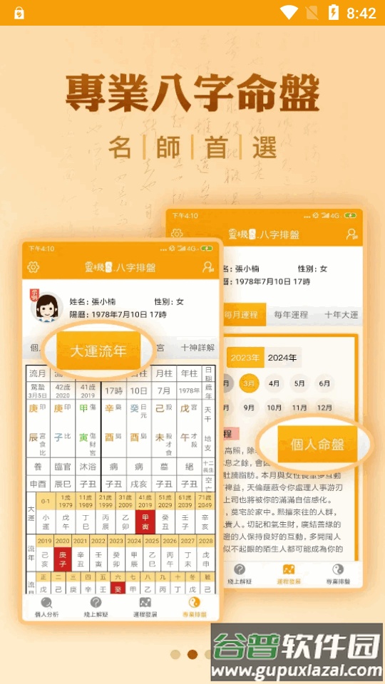 灵机八字排盘专业版截图1