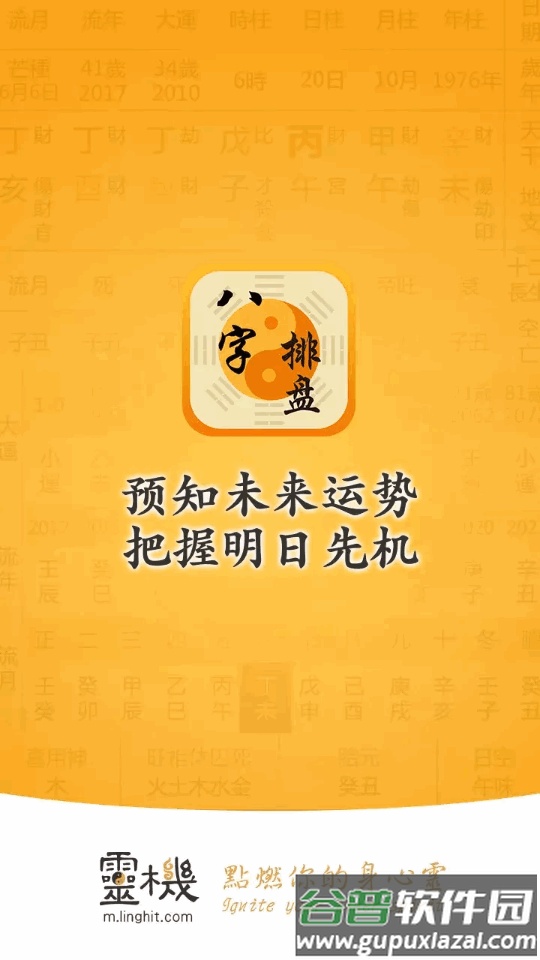 灵机八字排盘专业版截图4