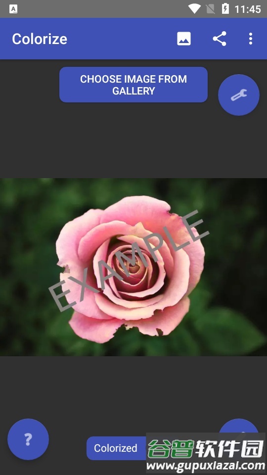 AI黑白照片上色软件(Colorize Images)截图3