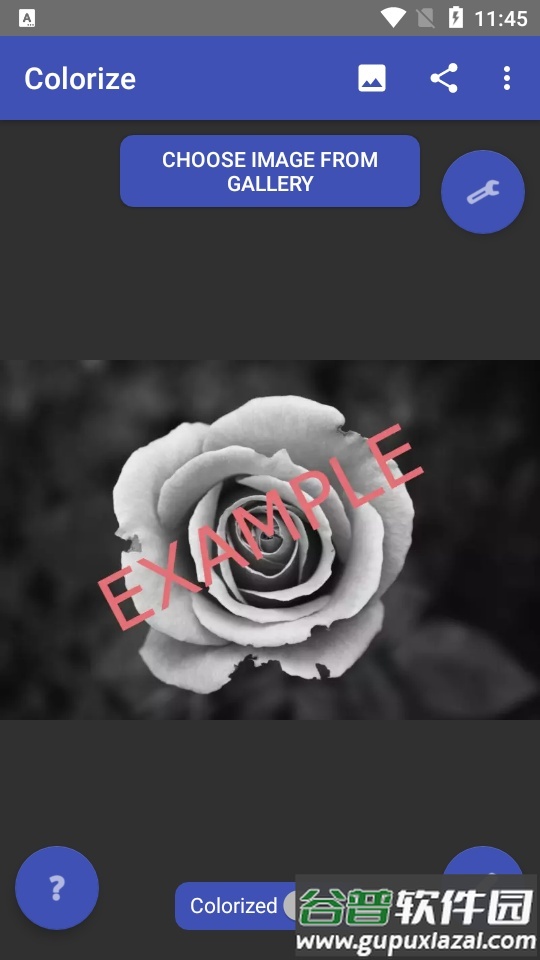 AI黑白照片上色软件(Colorize Images)截图4
