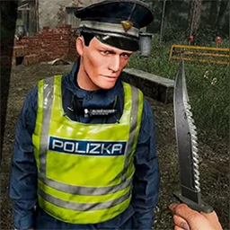 边境检察官巡查模拟安卓版v1.0.0 安卓版