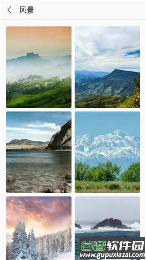 芒果壁纸app手机最新版截图1