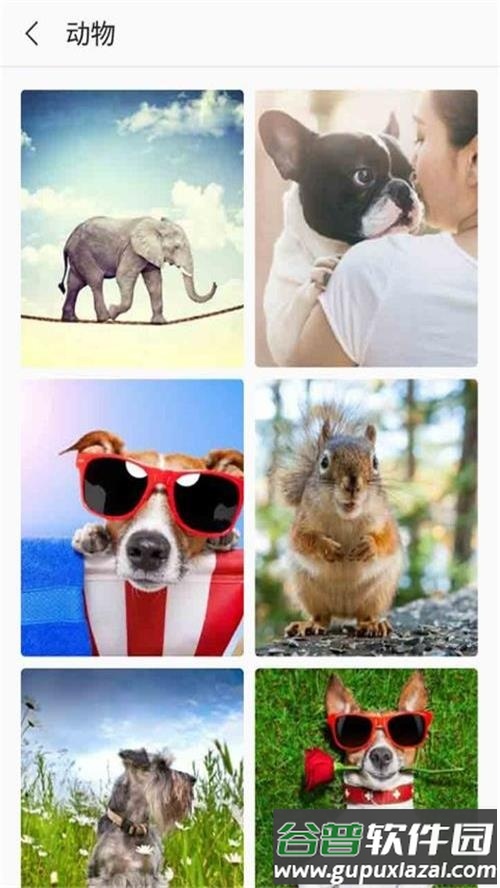 芒果壁纸app手机最新版截图3