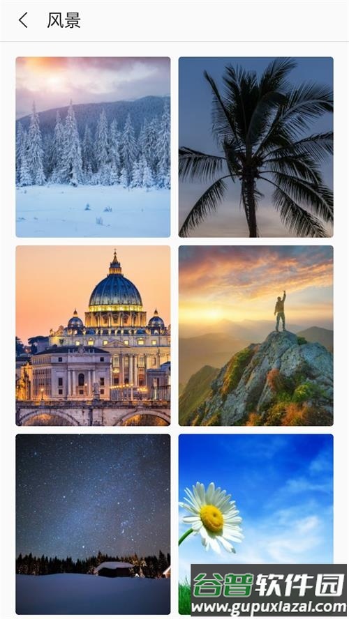 芒果壁纸app手机最新版截图7