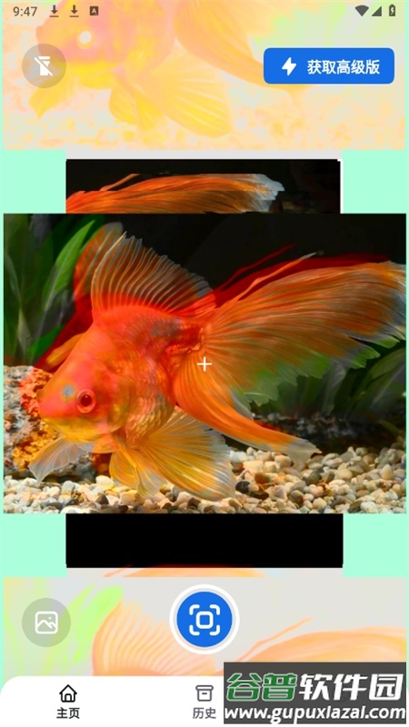 Fishby软件手机版截图4