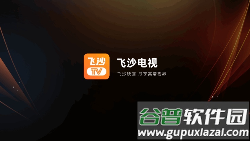 飞沙电视直播软件官方正版截图1