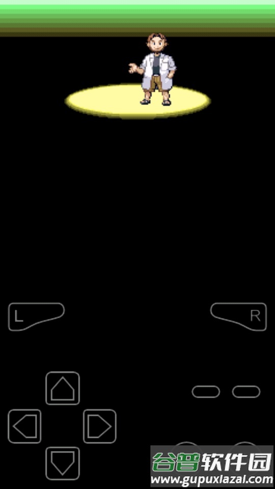 究极绿宝石八代宝可梦手游截图1