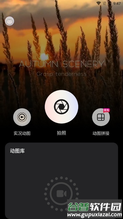 实况live动图相机截图4