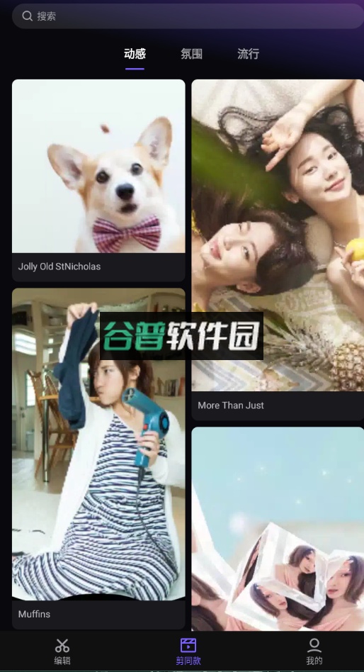 vivacut中文破解版下载截图5