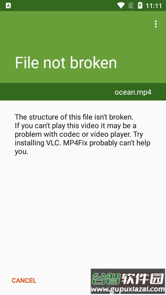 MP4Fix视频修复工具中文版截图6