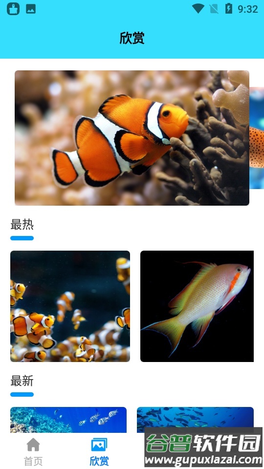 我爱养鱼app截图3