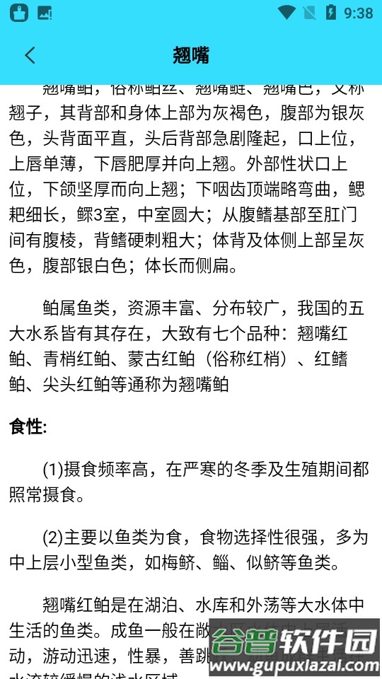 我爱养鱼app截图4