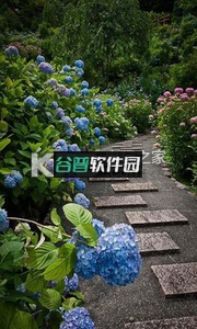 梦幻花园下载截图1