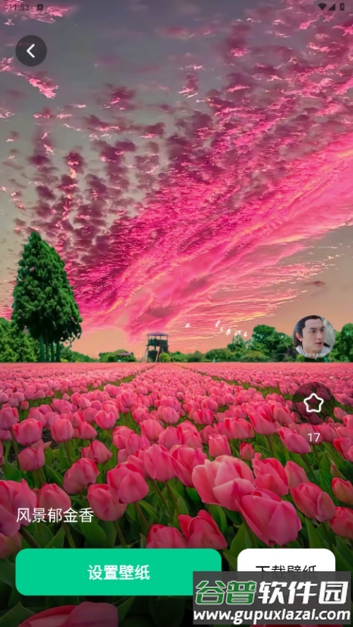 清风壁纸app手机最新版截图6