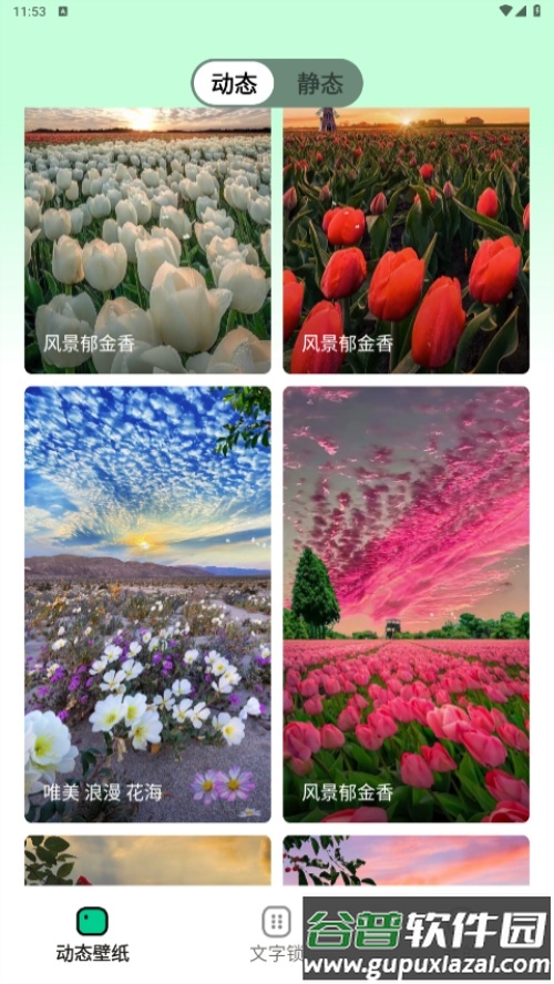 清风壁纸app手机最新版截图7