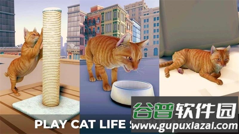 猫咪历险记大都市游戏最新版截图5