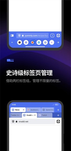 Vivaldi浏览器app截图4