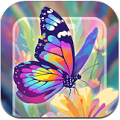 悦涂壁纸软件v1.1.7