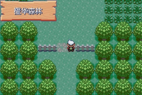 口袋妖怪火红386版金手指截图4