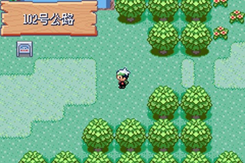 口袋妖怪火红386版金手指截图5