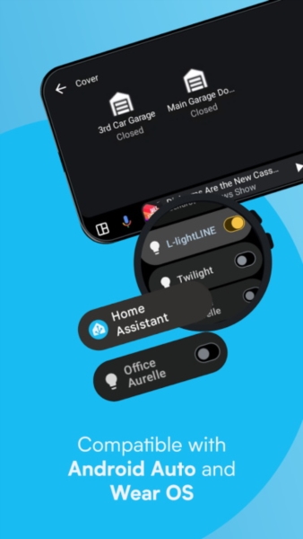 Home Assistant安卓版截图5