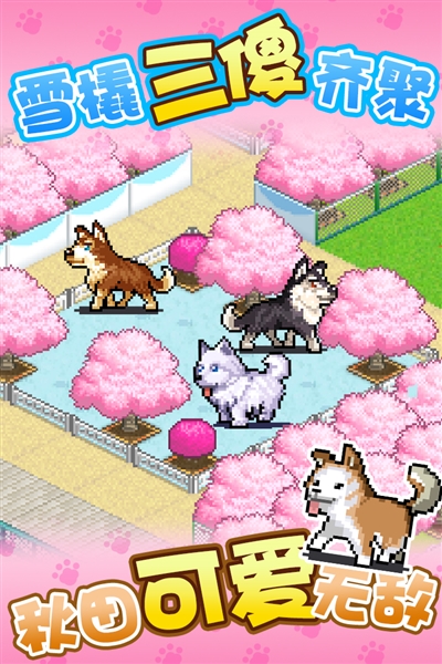 发现汪星人游戏截图2