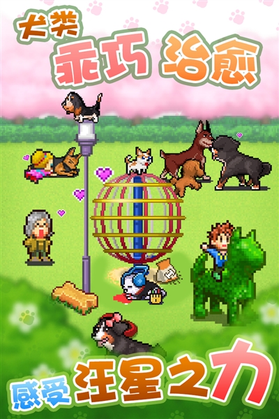 发现汪星人游戏截图4