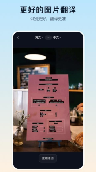 翻译鸥官方版截图2