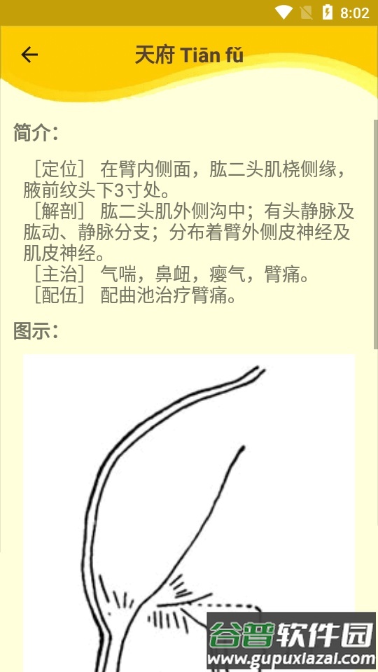 人体穴位图解app截图3