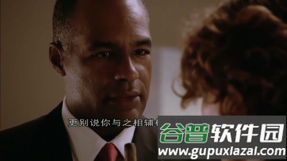 视界cat2025最新版安装包截图2