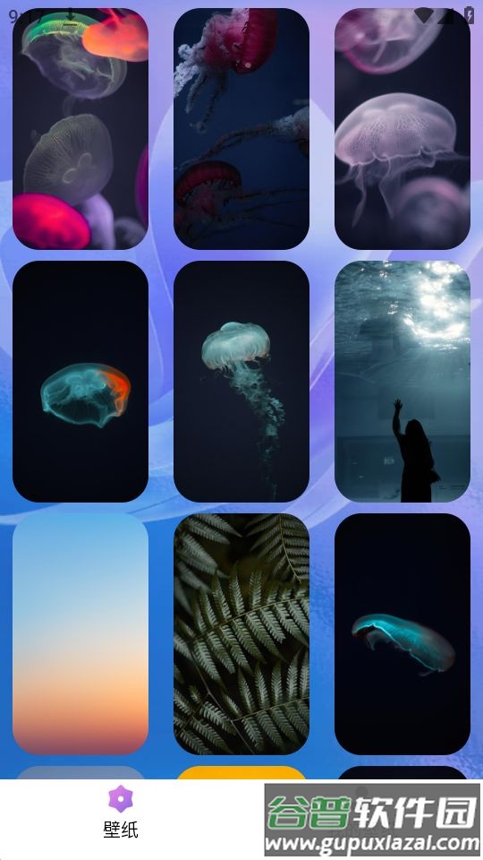 绘影壁纸app官方安卓版截图2