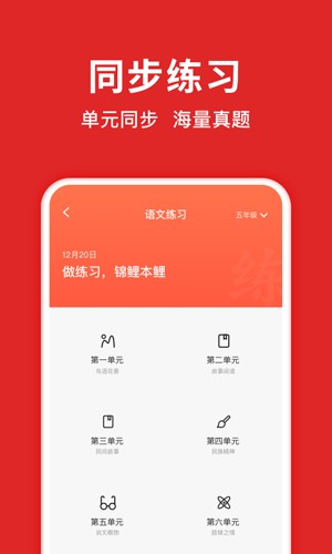 题拍拍口算app截图4
