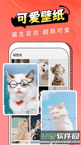 Cat Translation最新版截图1