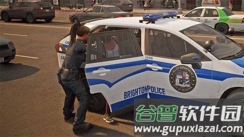 边境警察巡逻模拟器完整版截图1