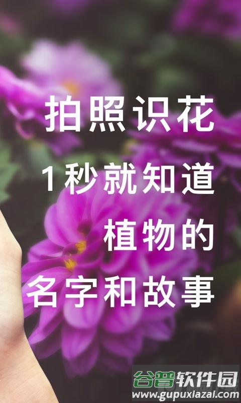 形色App安卓最新版截图1