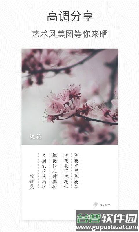 形色App安卓最新版截图2