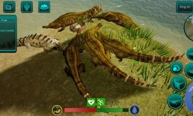 诅咒之岛国际服中文版截图1