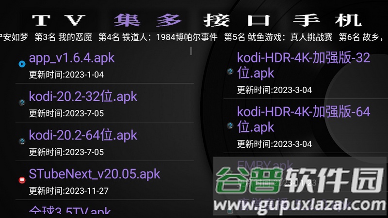 GK之家电视版软件下载截图1
