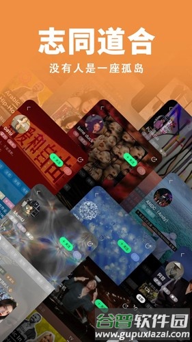 岛app截图5