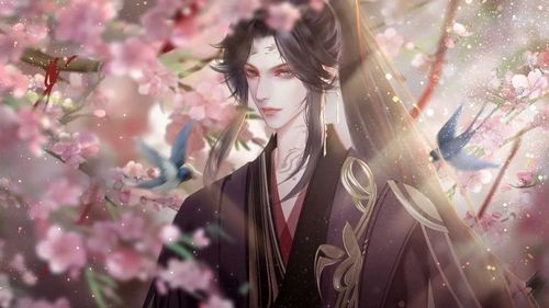 仅仅是外人橙光无限鲜花版截图3