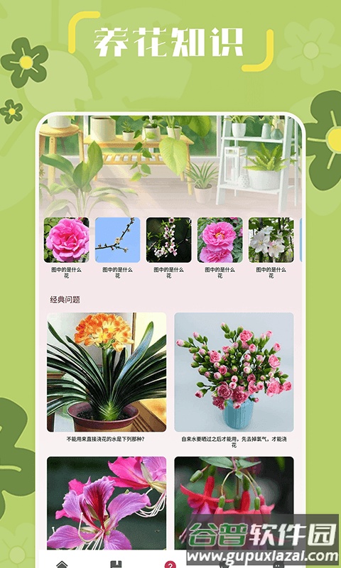 小兰君软件最新版截图2