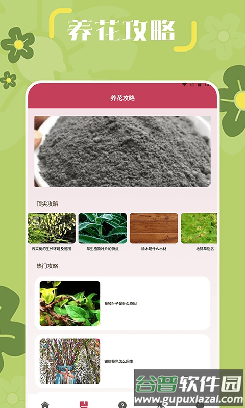 小兰君软件最新版截图4